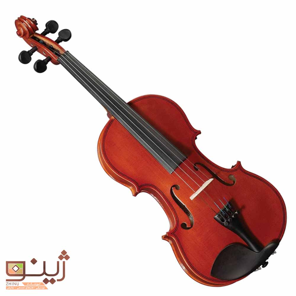 تکنیکهای نگهداری صحیح ویولن